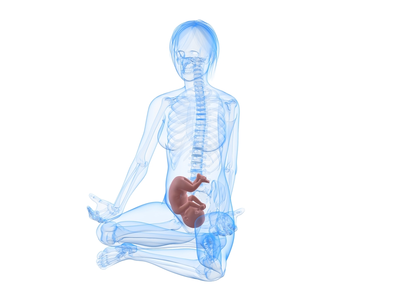 Illustration for article titled Why don't we know more about the long-term effects of abortion?